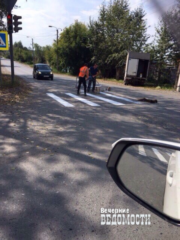 В Камышлове дорожную разметку наносят метлой (ФОТО)