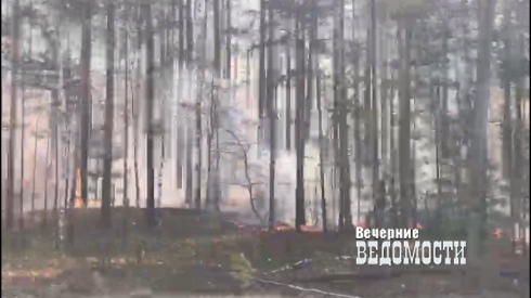 Свердловские автомобилисты жалуются на дым от лесных пожаров: «Видимость крайне низкая» (ФОТО)