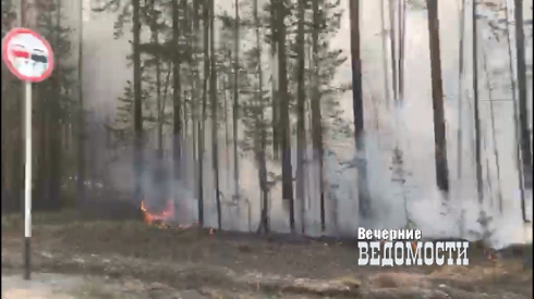 Свердловские автомобилисты жалуются на дым от лесных пожаров: «Видимость крайне низкая» (ФОТО)