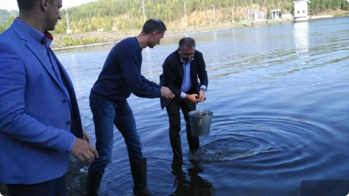 В Волчихинское водохранилище запустили восемь тысяч мальков толстолобика и белого амура