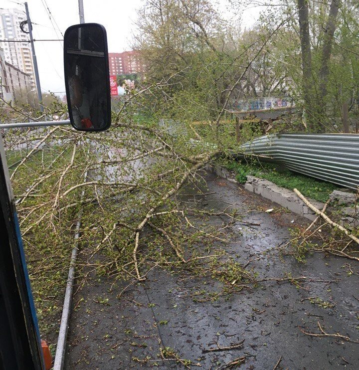 Прошла первая майская гроза и оставила за собой упавшие деревья и столбы, сорванные крыши и разбитые автомобили