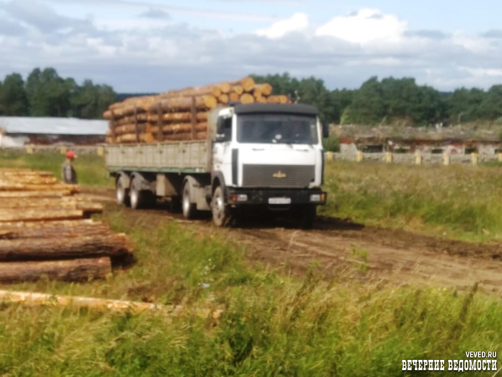 Уральская резня бензопилой