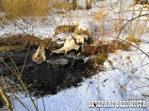 На Таватуе бардак, акватория сокращается, администрация бездействует