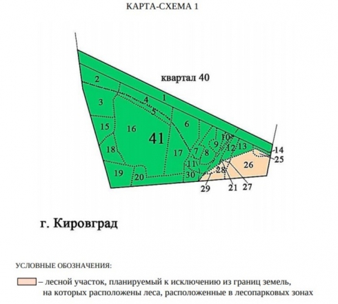 Куйвашев потребовал изменить границы участков в Невьянском лесничестве для добычи золота