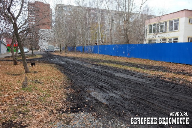 После вырубки деревьев и сноса металлических столбиков Мухоморов организовал короткий проезд к своему помещению через газон.